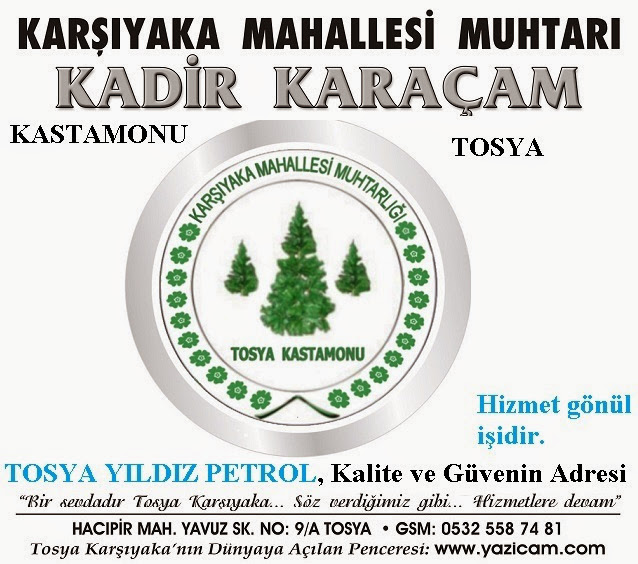 Tosya Yazam